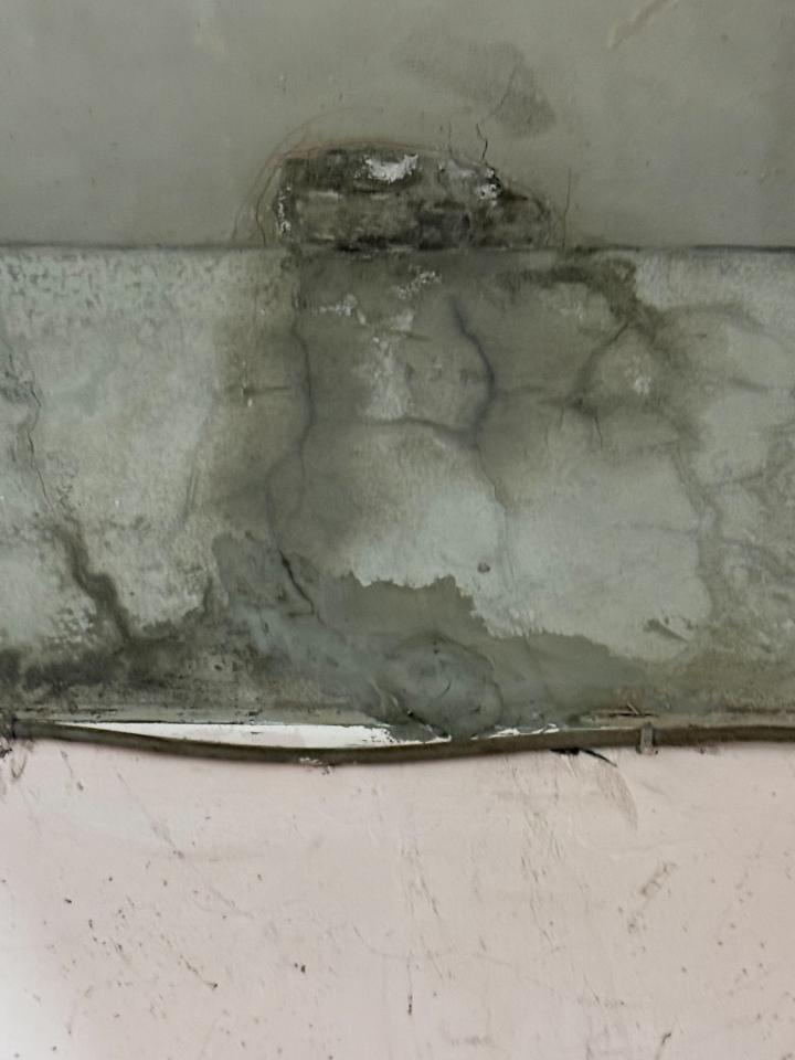 抓漏案件圖片