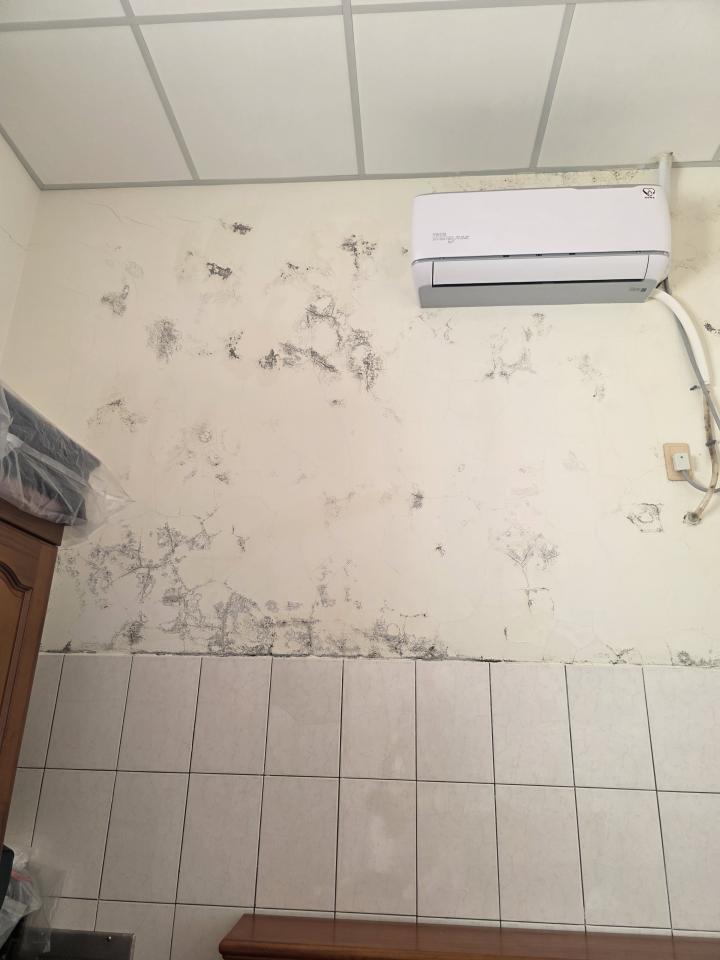 油漆工程案件圖片