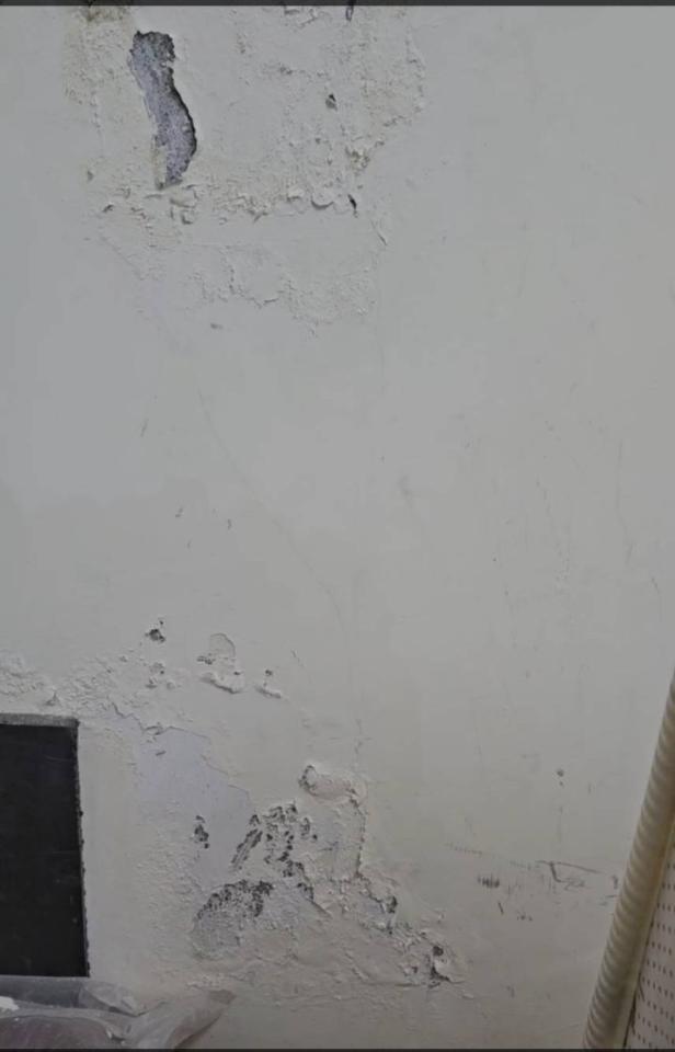 壁癌處理案件圖片