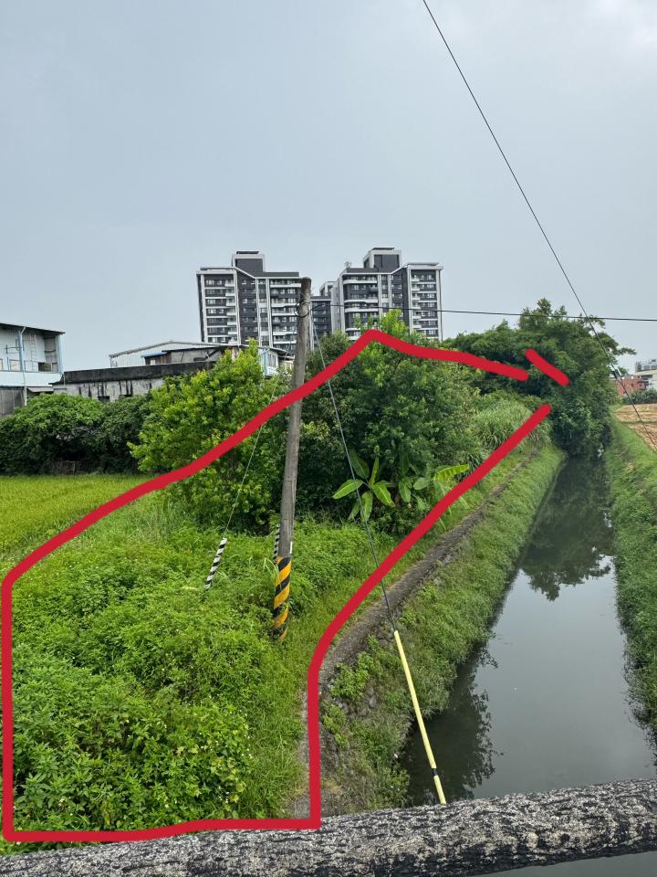 園藝維護案件圖片