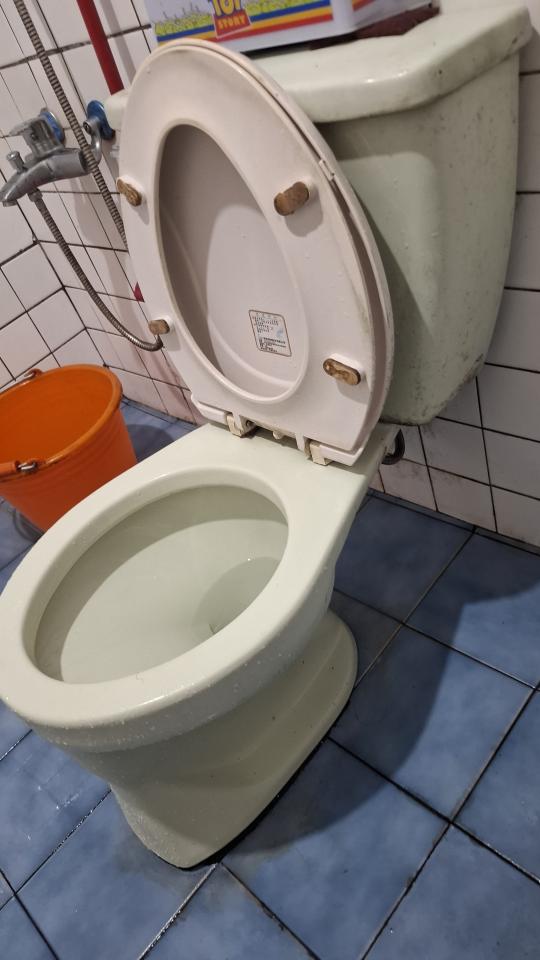 馬桶裝修案件圖片