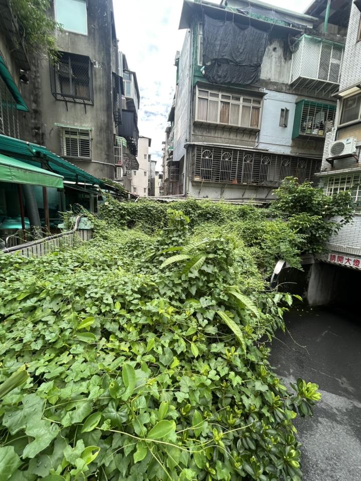 園藝維護案件圖片