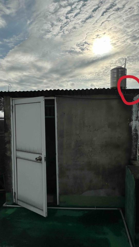 鐵皮屋頂案件圖片