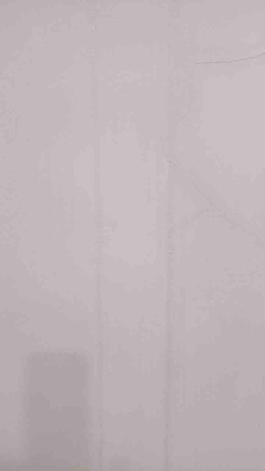 抓漏案件圖片