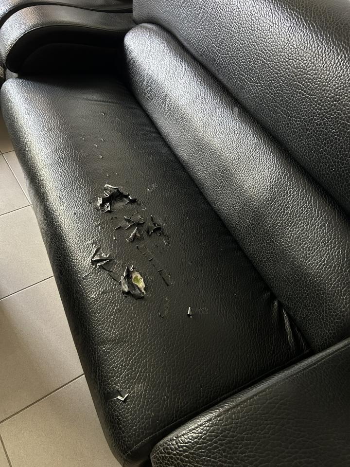 沙發修理案件圖片