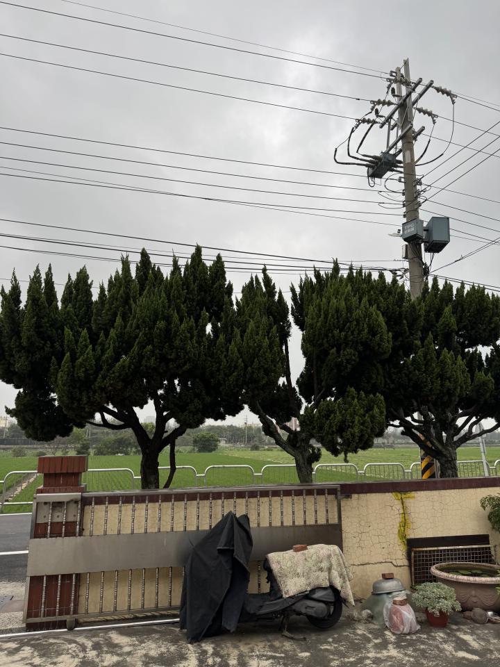 園藝維護案件圖片