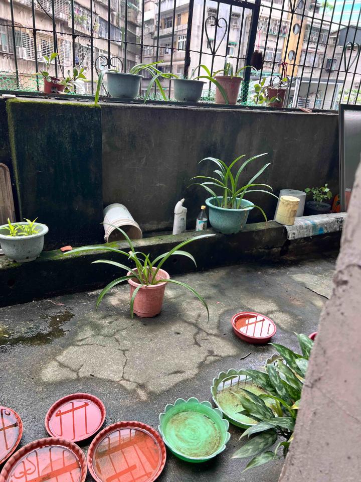 漏水處理案件圖片