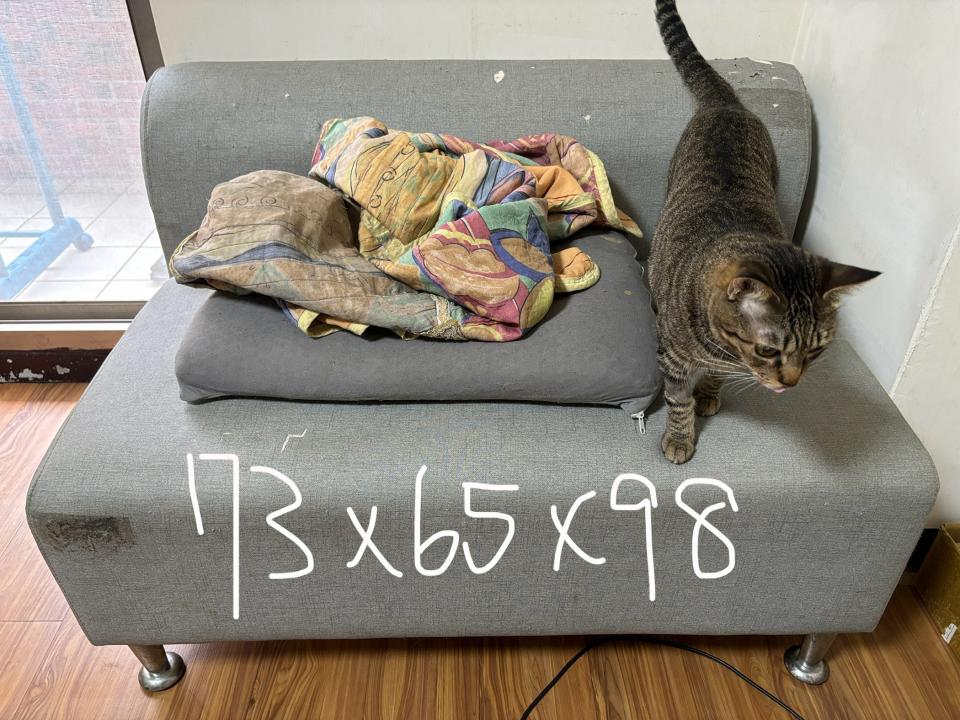 搬家案件圖片