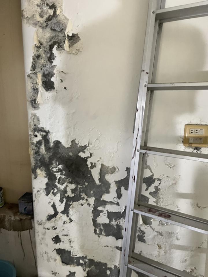 漏水鑑定案件圖片