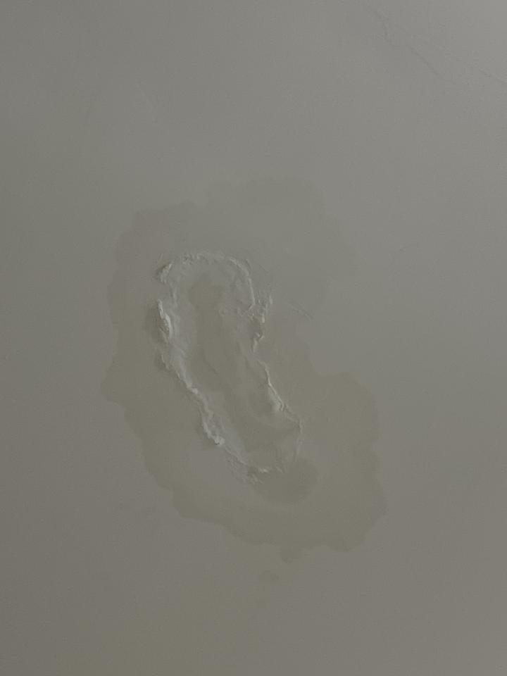 抓漏案件圖片
