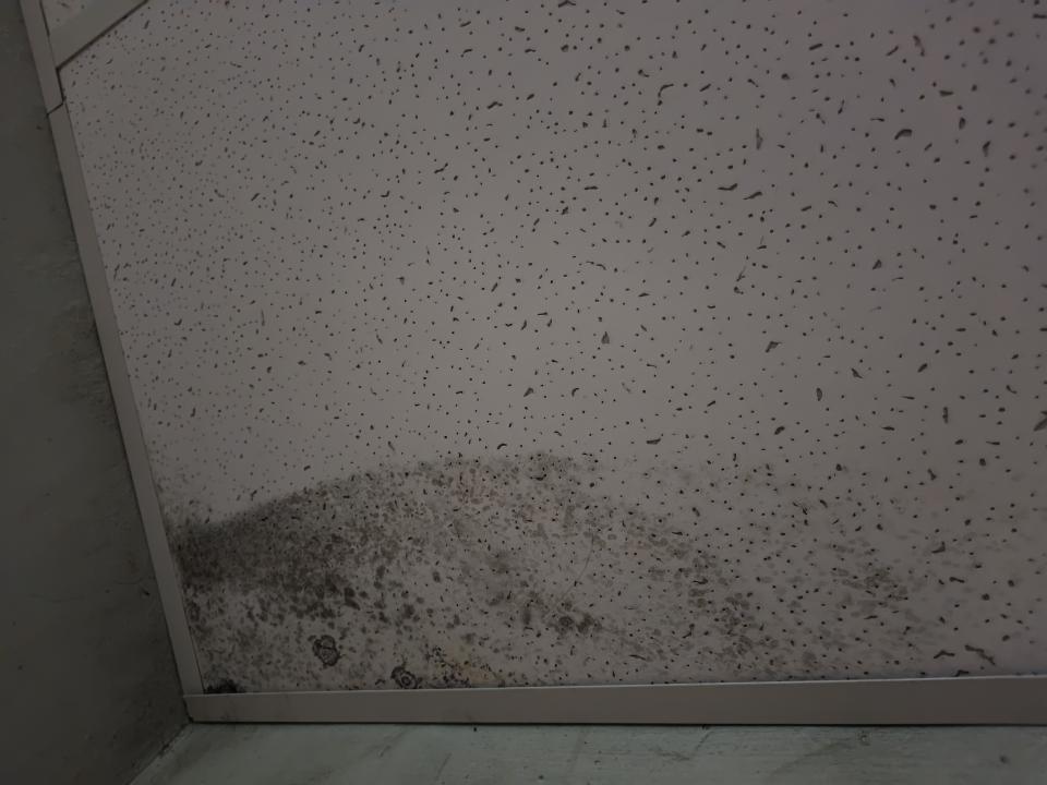 漏水處理案件圖片