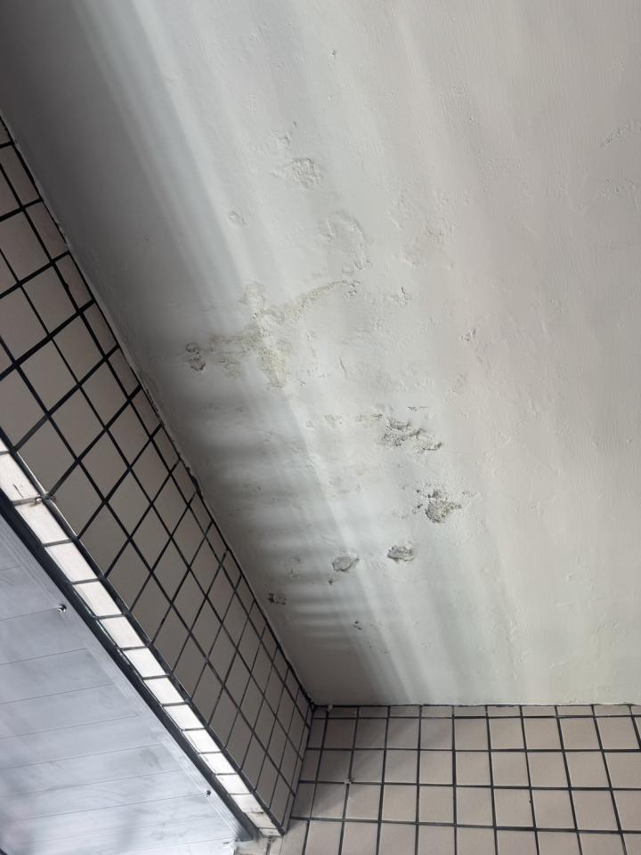 壁癌處理案件圖片