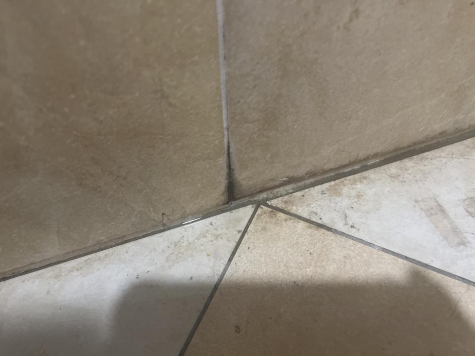 抓漏案件圖片