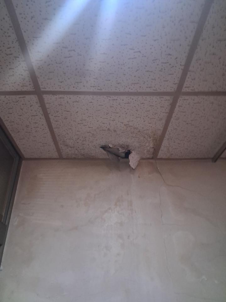 抓漏案件圖片