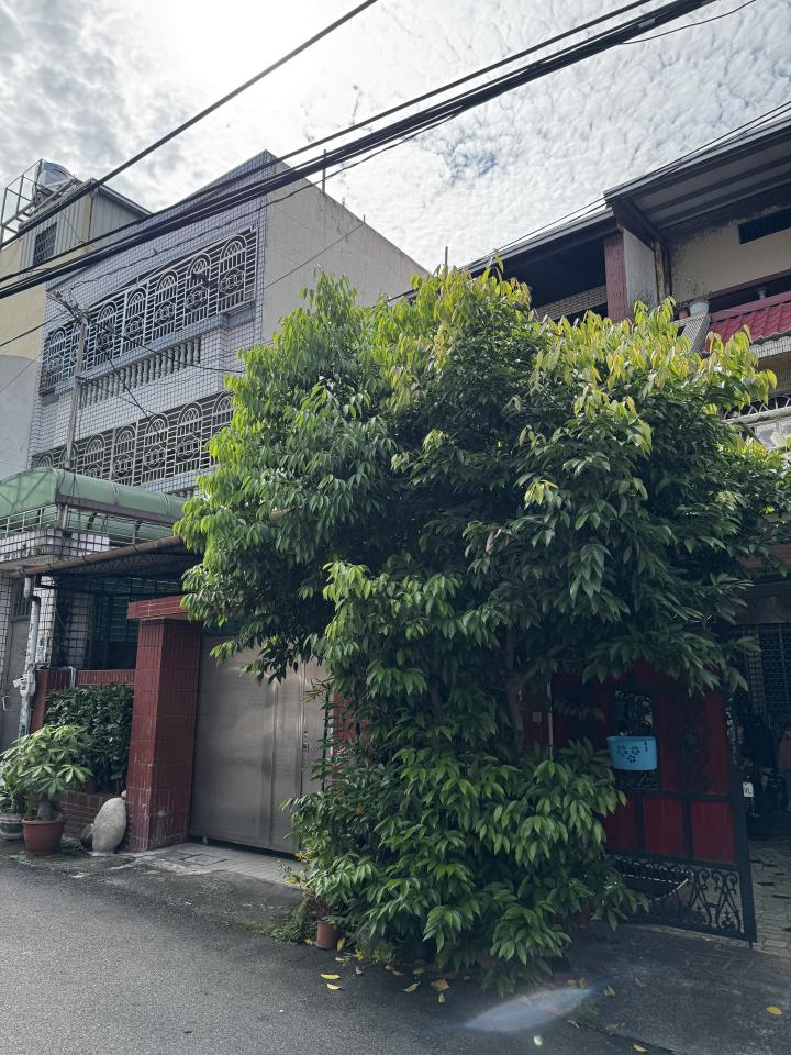 園藝維護案件圖片