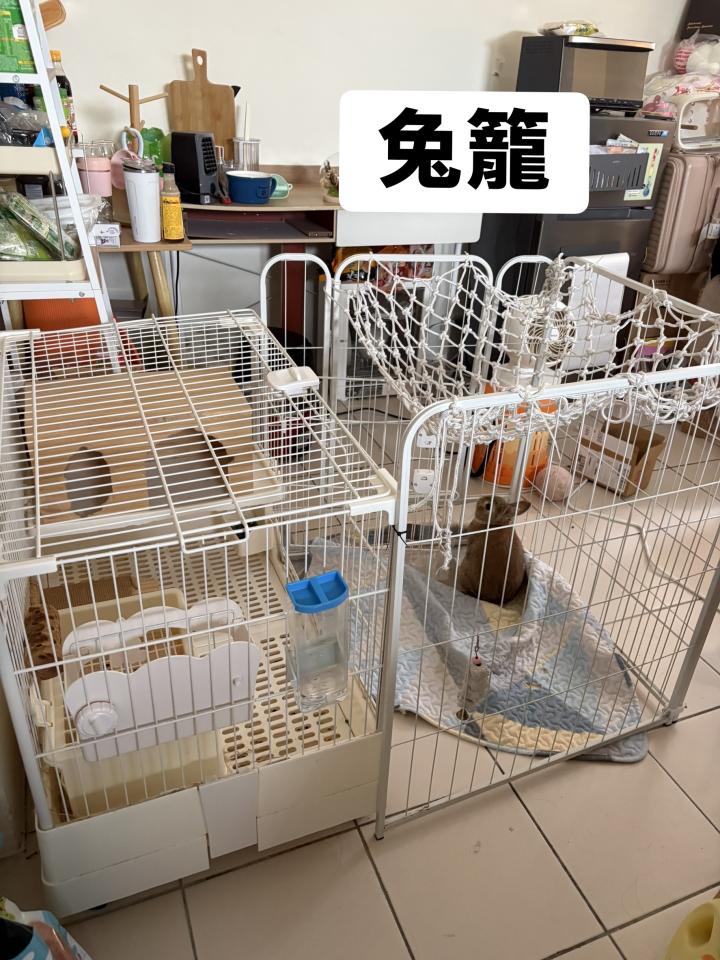 搬家案件圖片