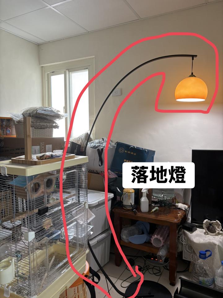搬家案件圖片