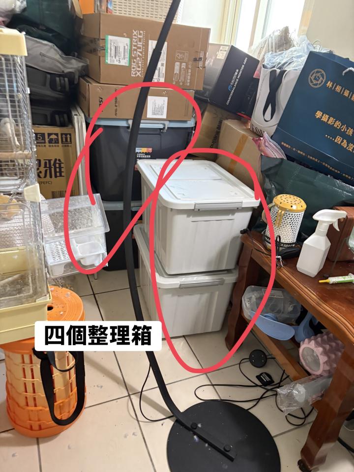 搬家案件圖片