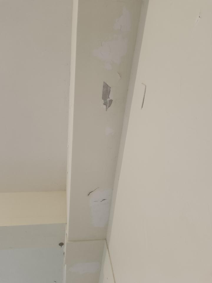 油漆工程案件圖片