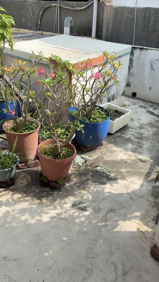 加壓馬達案件圖片