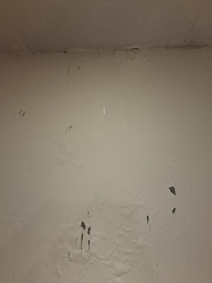 抓漏案件圖片