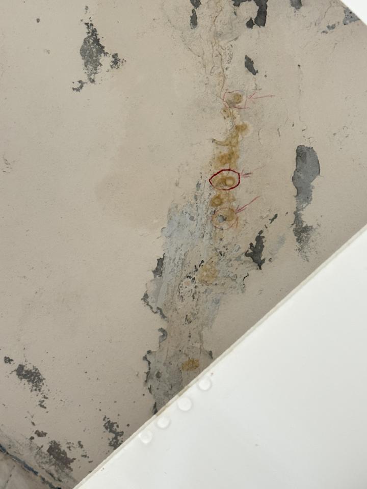 漏水處理案件圖片