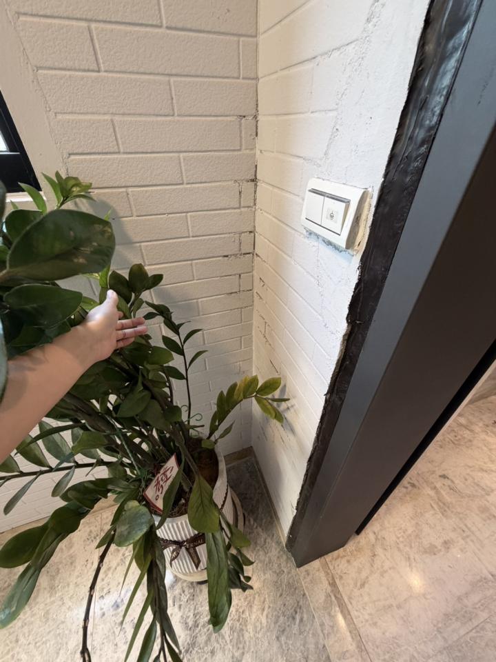 油漆工程案件圖片