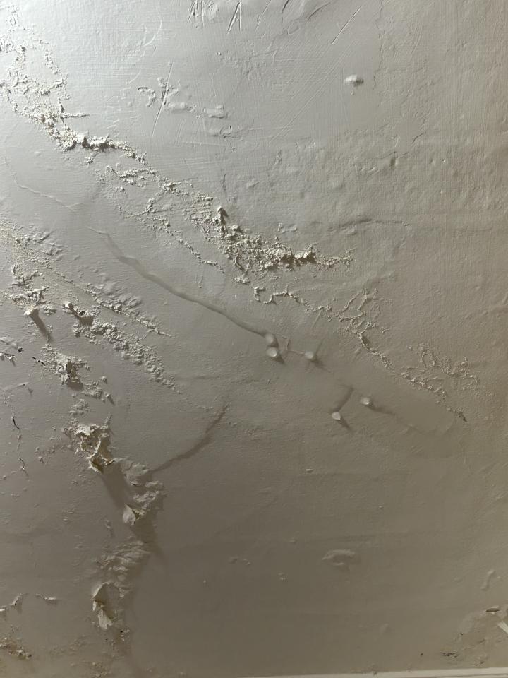 抓漏案件圖片