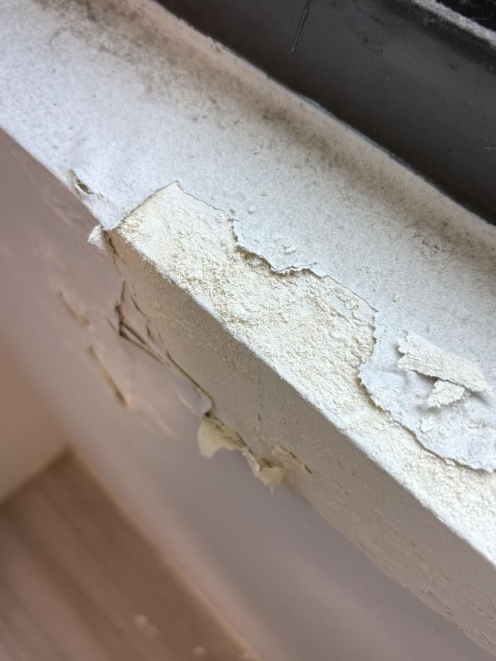 壁癌處理案件圖片