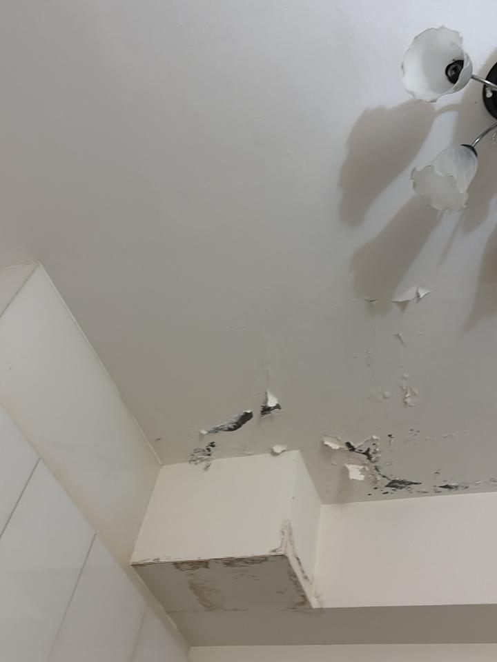油漆工程案件圖片
