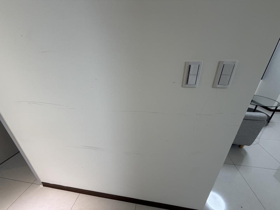 油漆工程案件圖片