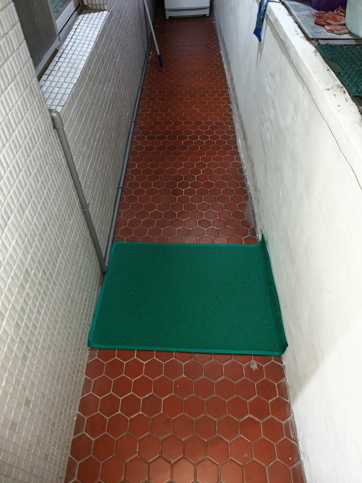 泥作/水泥施工案件圖片