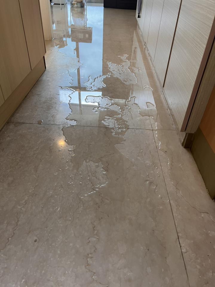 抓漏案件圖片