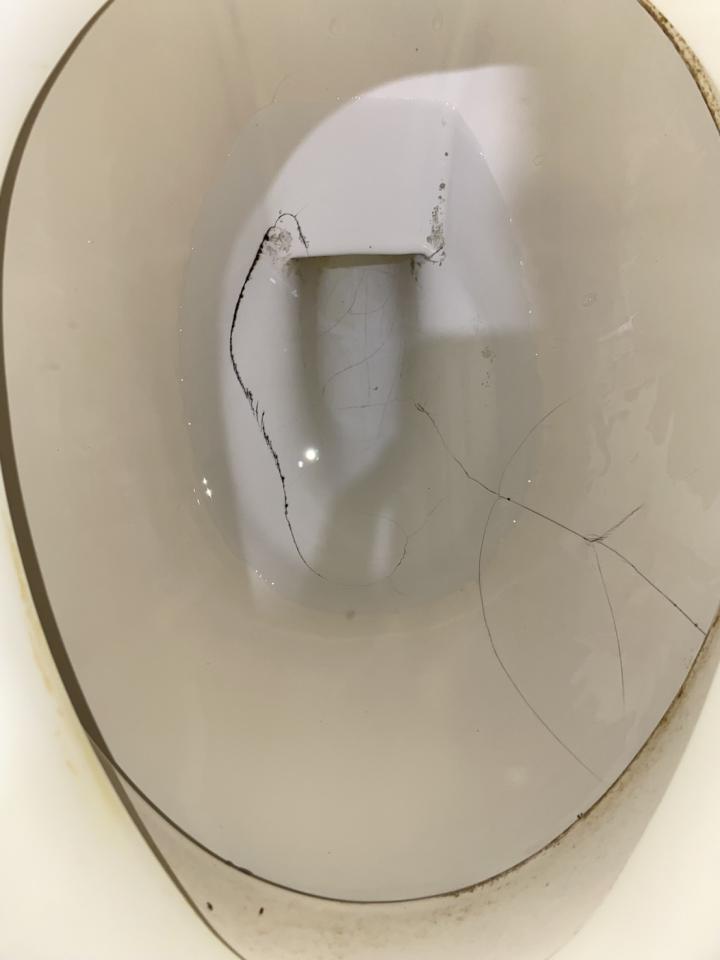 馬桶裝修案件圖片