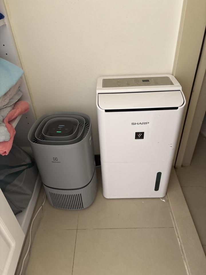 搬家案件圖片