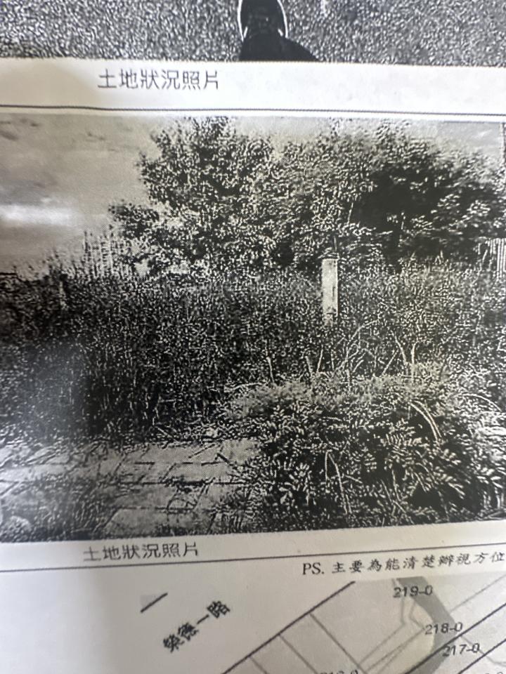 園藝維護案件圖片