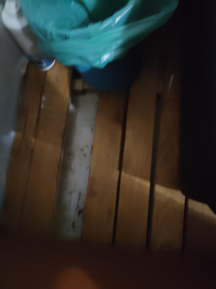 地板施工案件圖片