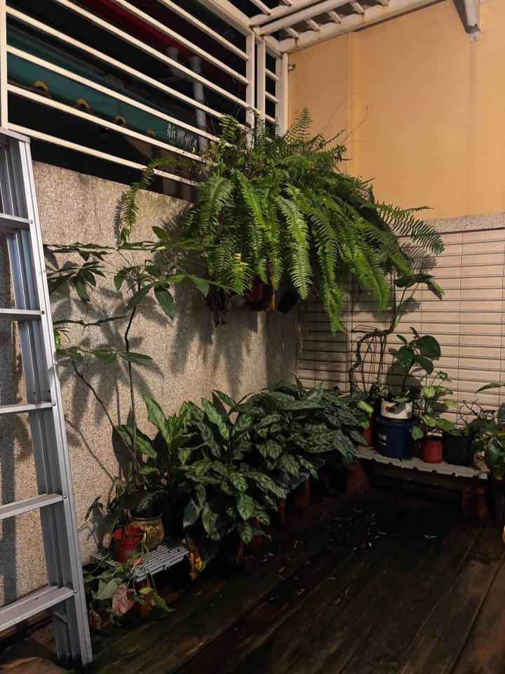 統包工程案件圖片