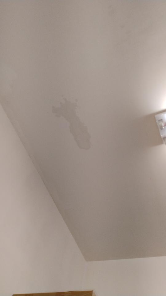 抓漏案件圖片