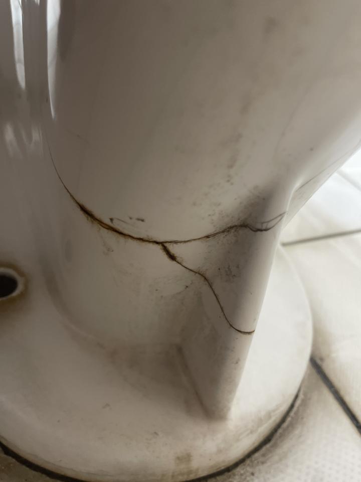 馬桶裝修案件圖片