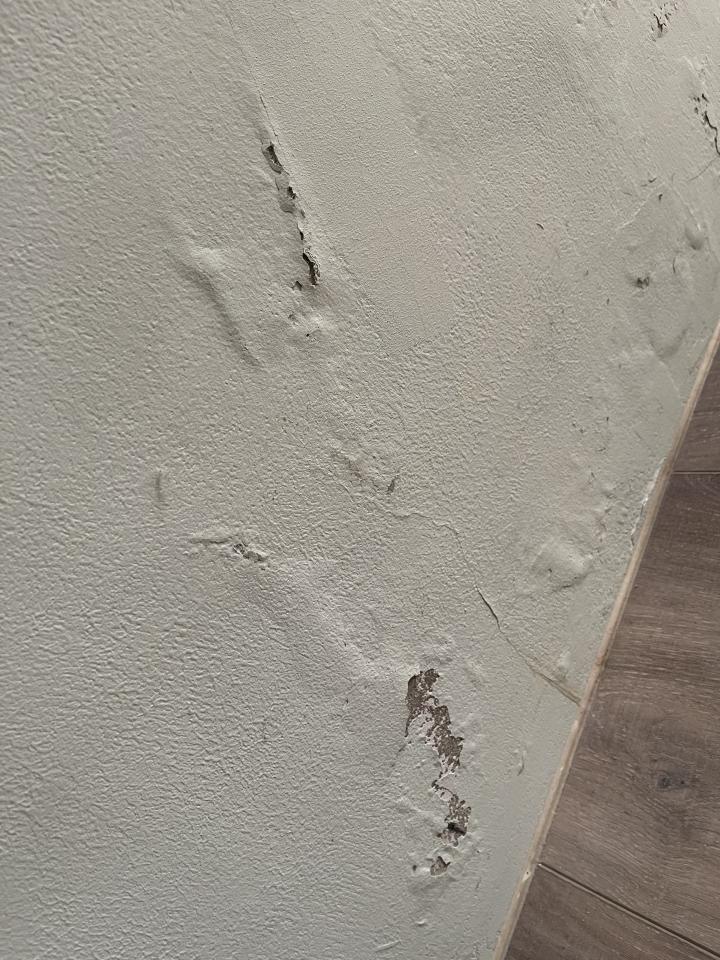 漏水處理案件圖片