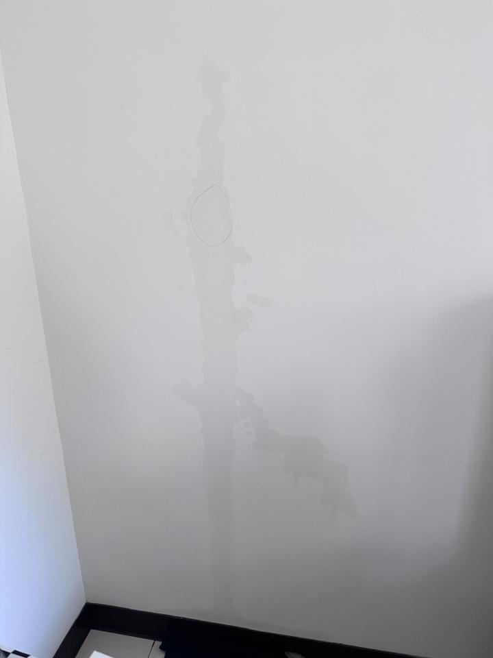 抓漏案件圖片