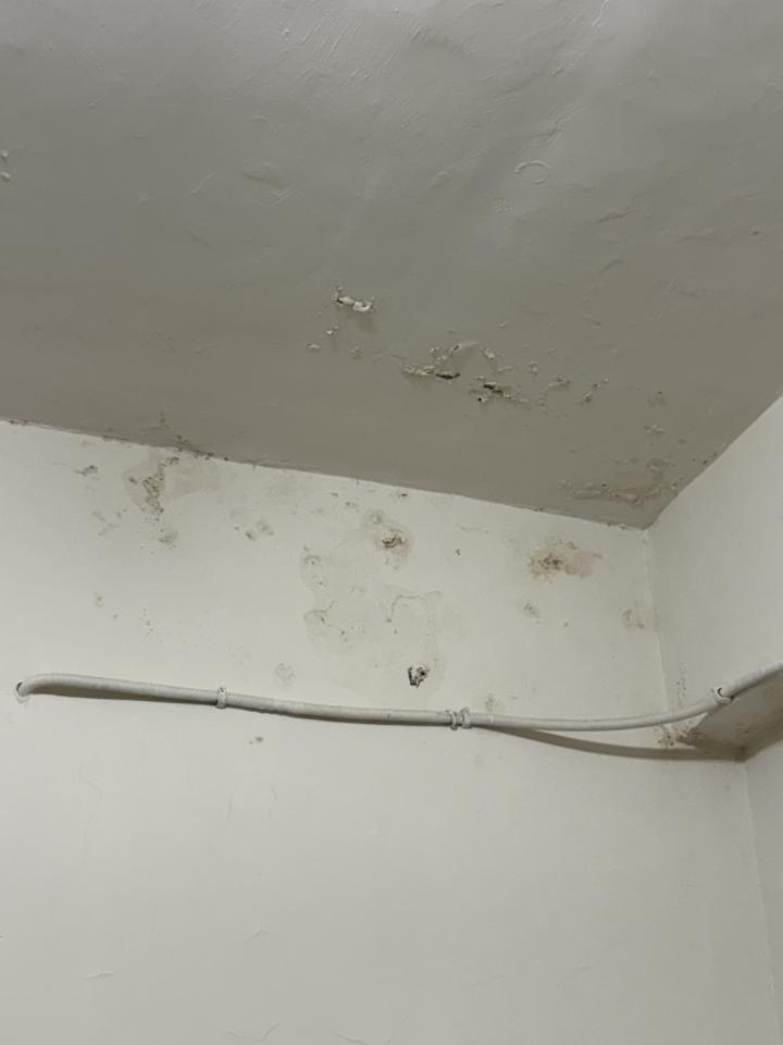 漏水鑑定案件圖片