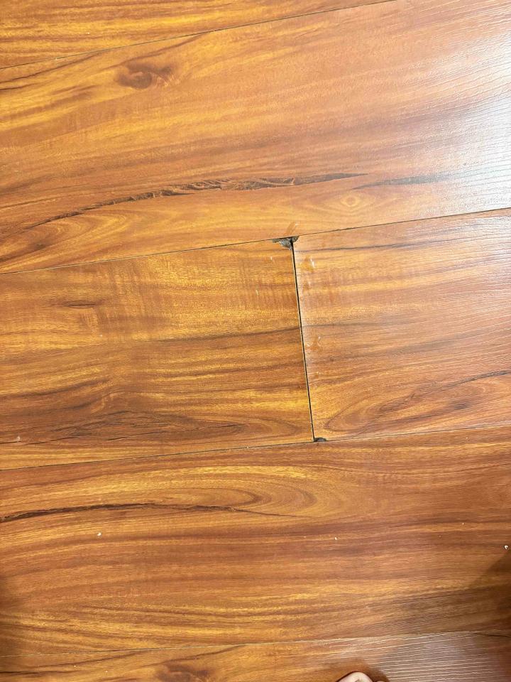 抓漏案件圖片