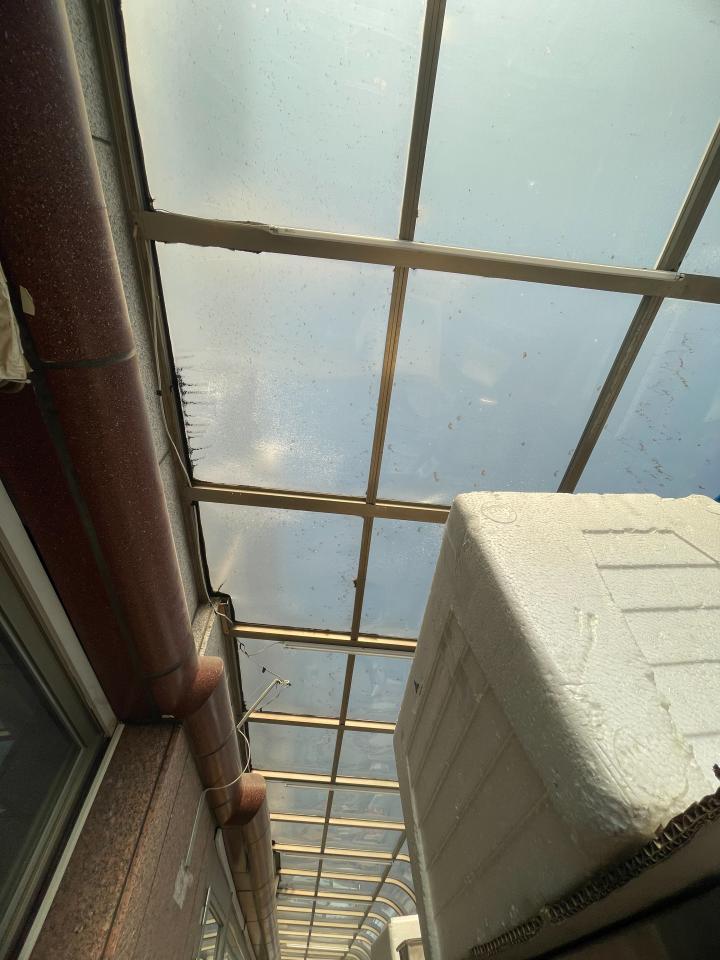屋頂排水案件圖片