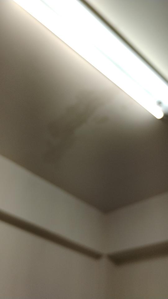 抓漏案件圖片