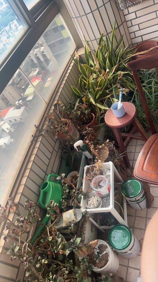 大型垃圾回收案件圖片