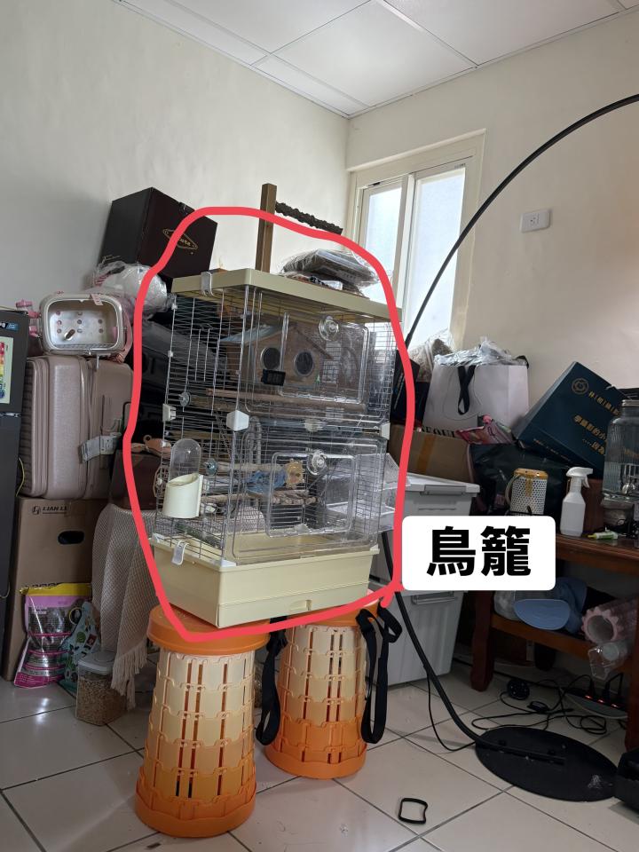 搬家案件圖片