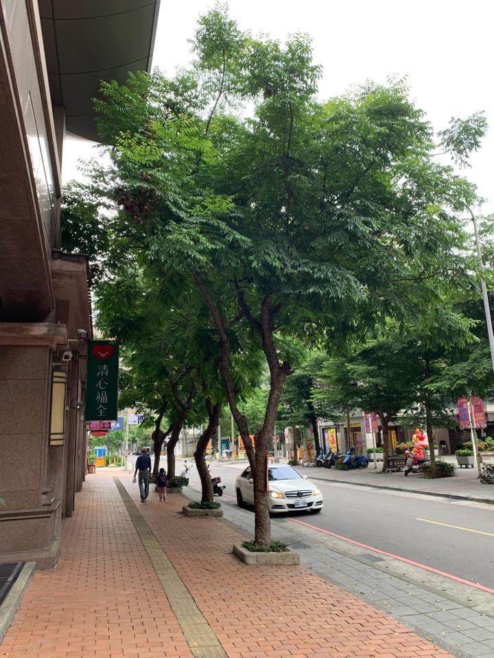 園藝維護案件圖片