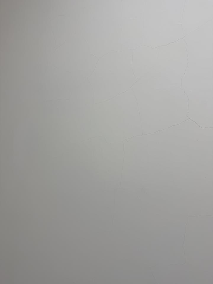 油漆工程案件圖片